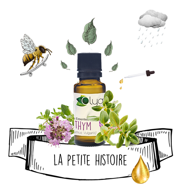 Peau Sensible : La Routine Naturelle aux Huiles Essentielles par Olyaris